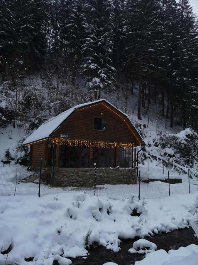 Гостьовий Дім Секвойя Verkhnyaya Bystra Exterior foto