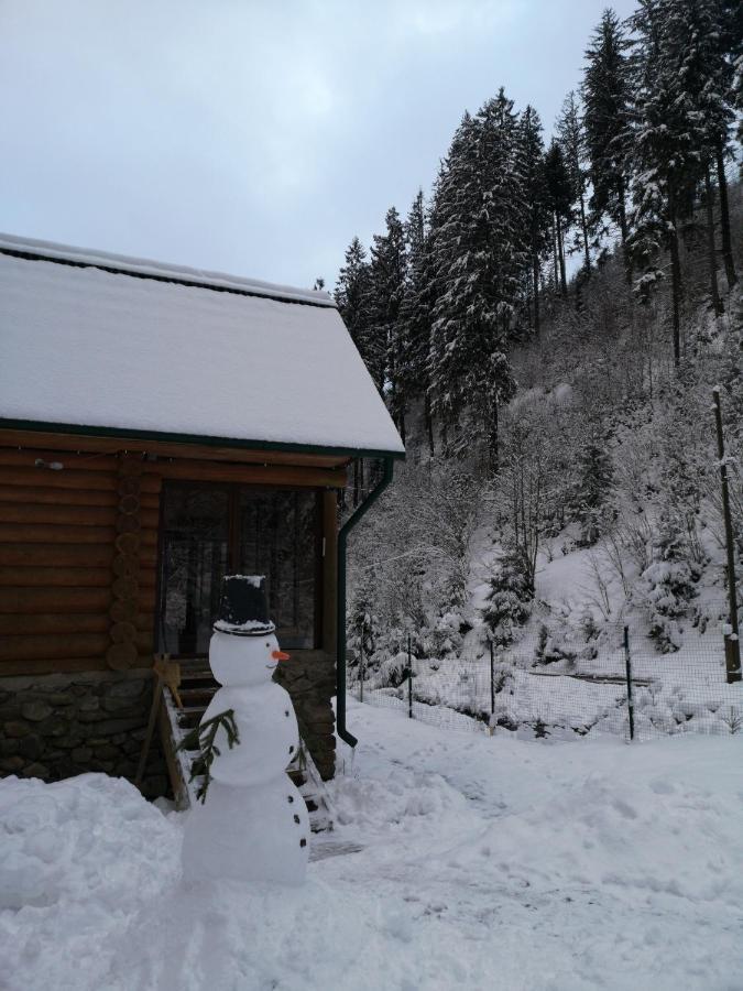 Гостьовий Дім Секвойя Verkhnyaya Bystra Exterior foto