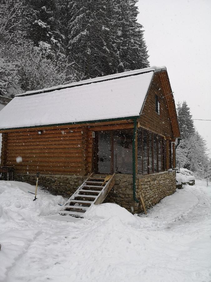 Гостьовий Дім Секвойя Verkhnyaya Bystra Exterior foto