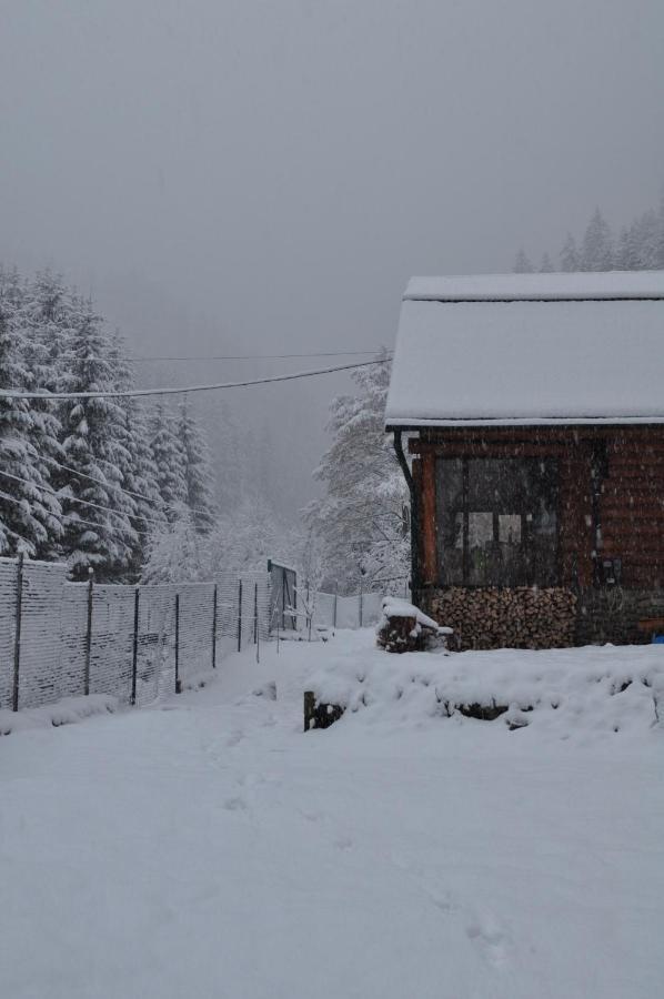 Гостьовий Дім Секвойя Verkhnyaya Bystra Exterior foto