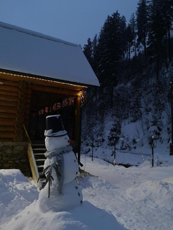 Гостьовий Дім Секвойя Verkhnyaya Bystra Exterior foto